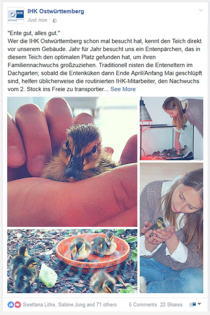 Social Media Perfektes Posting Ente gut, alles gut