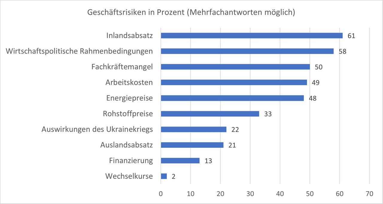 Geschäftsrisiken