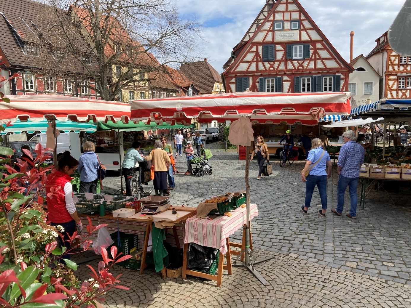 Stadt Ladenburg