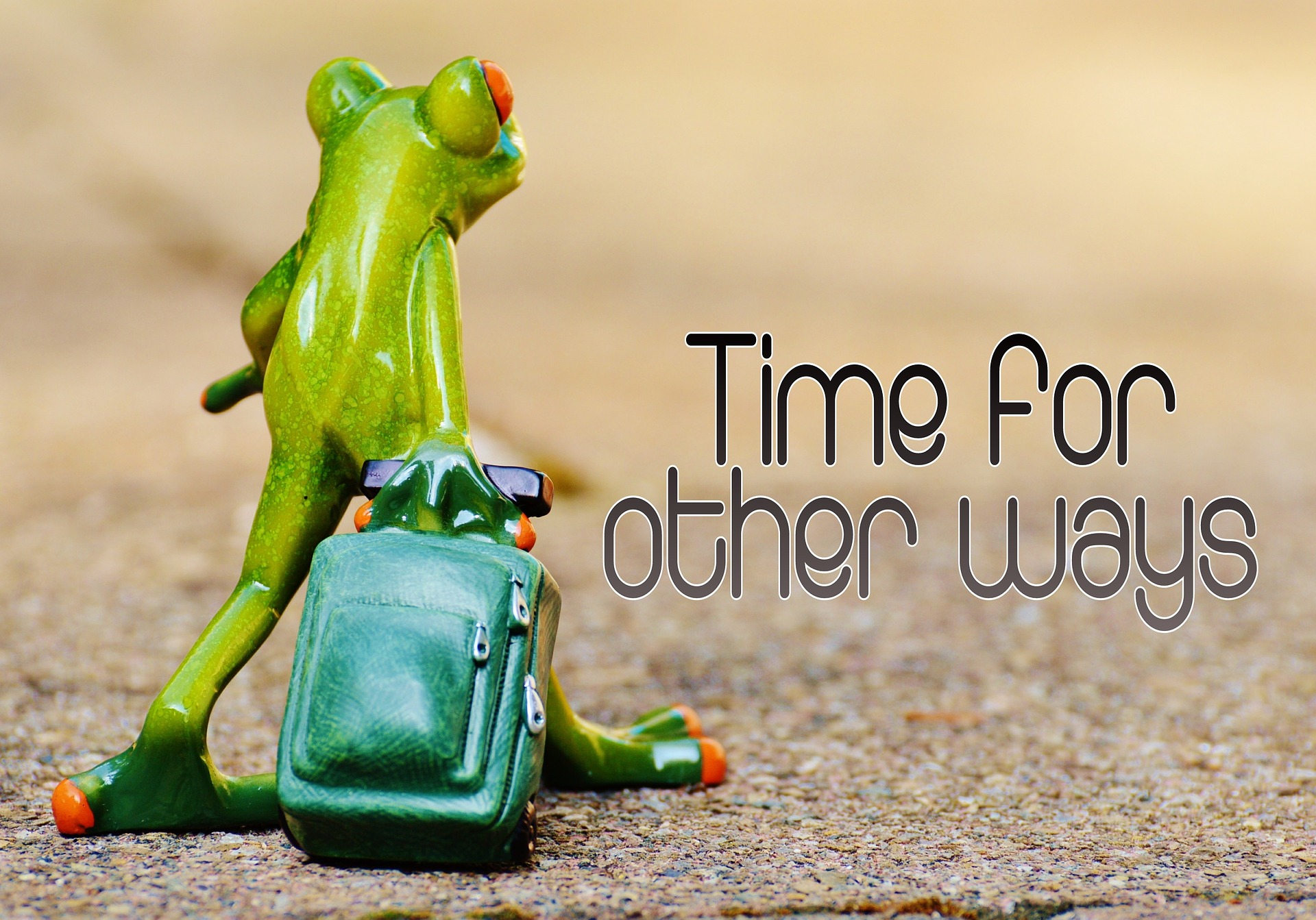 frosch time for other ways_pixabay