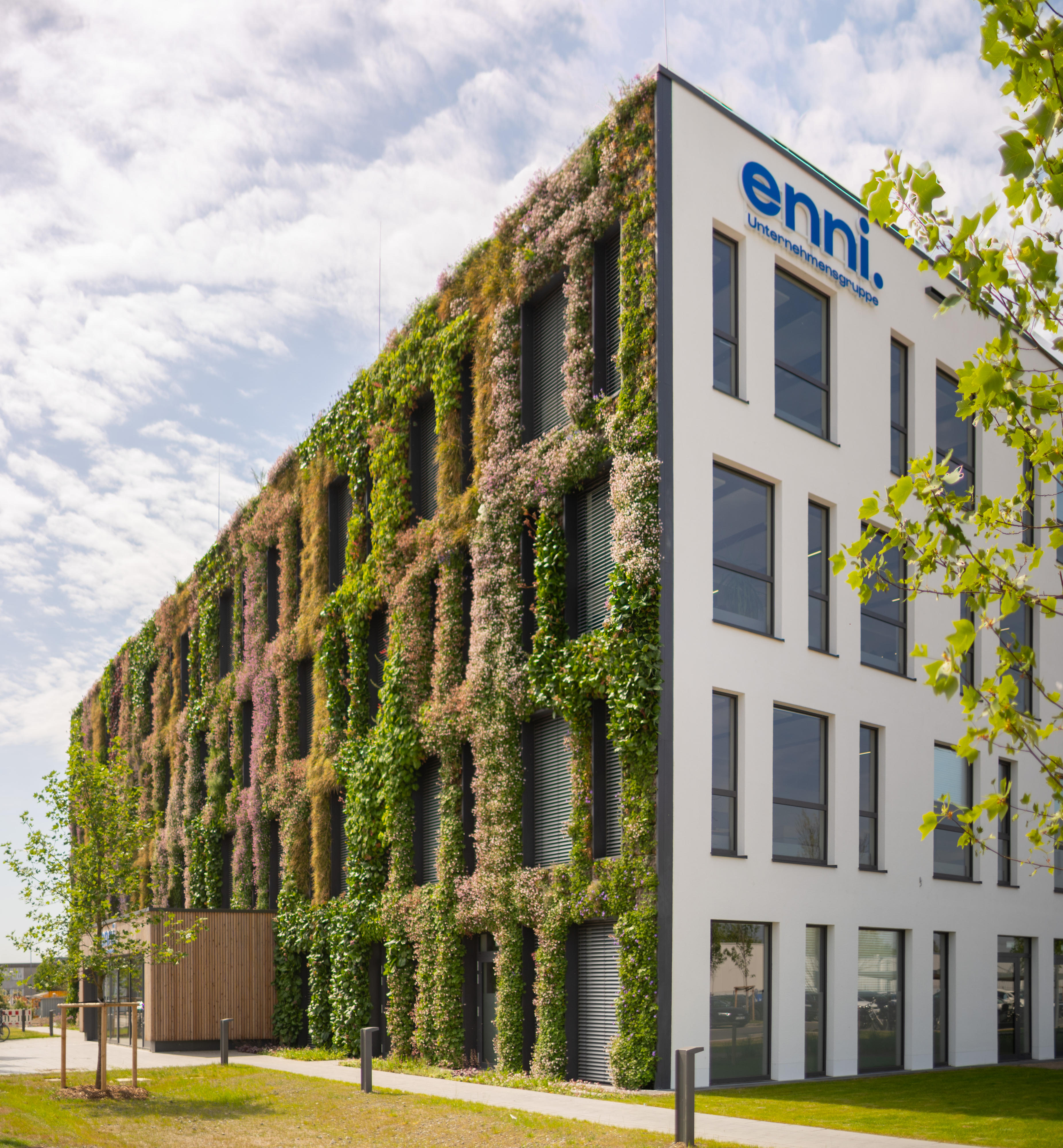 Grüne Fassade (8)