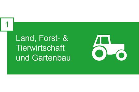 Berufsfeld_1