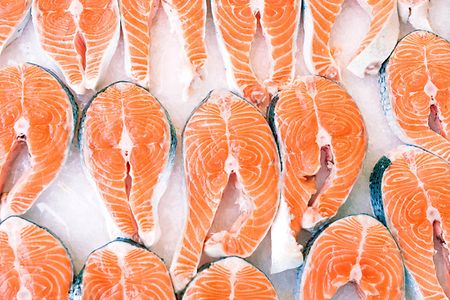 herr-der-fische