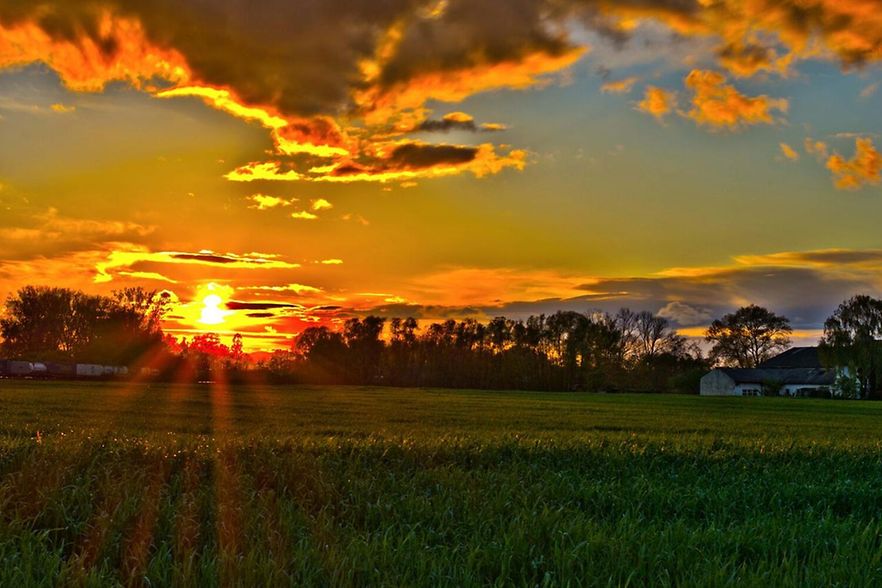 Sonnenuntergang hinter Gro&szlig;-Gerauer Feldern