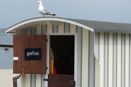 Strandkiosk mit Fensterklappe