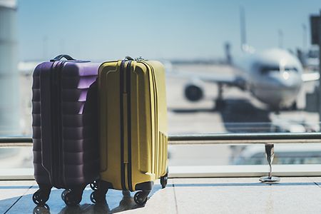 Zwei Koffer schauen vertr&auml;umt auf das Flughafenrollfeld