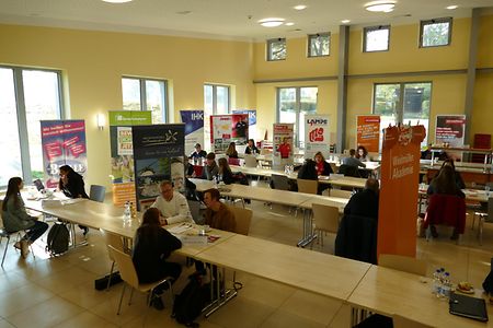 Speed-Dating 2