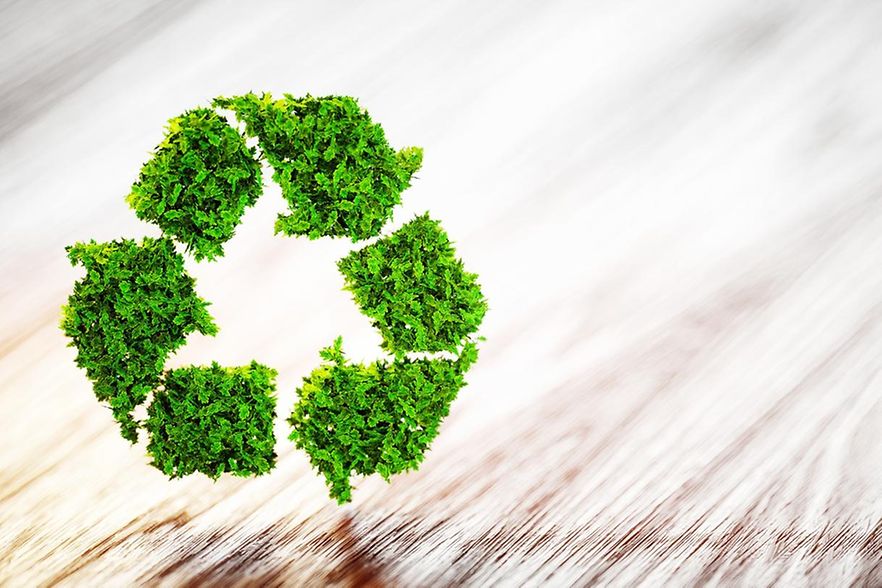 Recyclingsymbol aus Pflanzen vor einem Hintergrund aus Holz