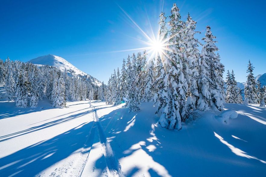 winterlandschaft mit strahlender Sonne