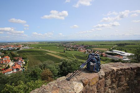 Blick von der Burg Neuleiningen