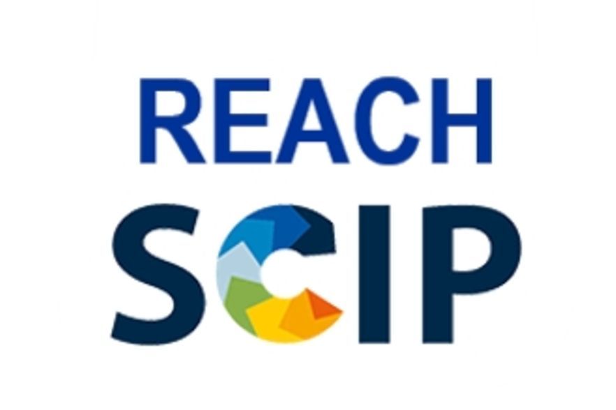 Logo Reach
