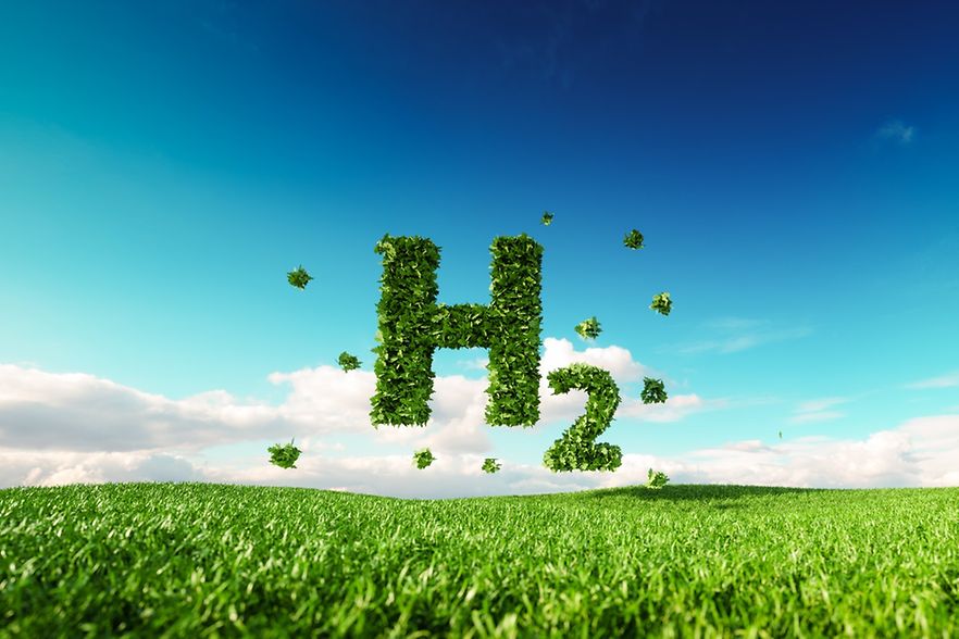 H2 Buchstabe und Zahl wird in Plfanzenform geschrieben. Himmel als Hintergrund, gr&uuml;ne Wiese