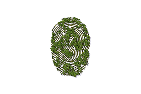 gr&uuml;ner daumenabdruck