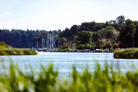 Die Schlei bei Gross Brodersby