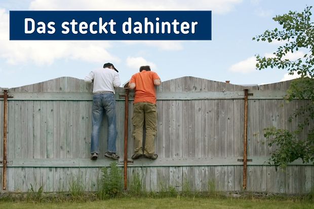 zwei Jungen schauen &uuml;ber einen hohen blickdichten Holzzaun