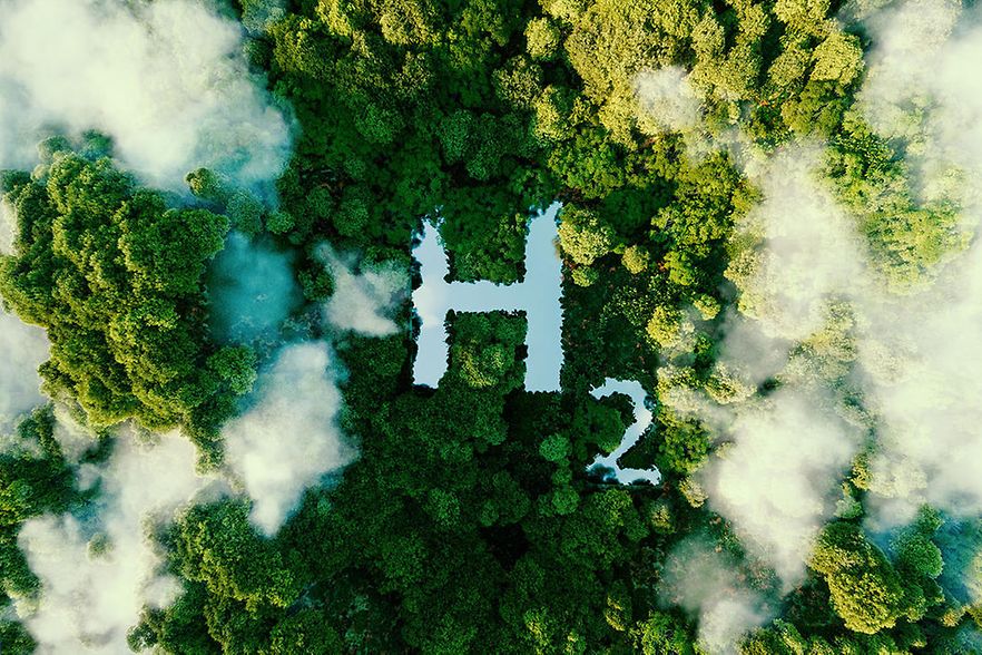 Das Symbolbild zeigt die chemische Bezeichnung H2 in einem Wald.
