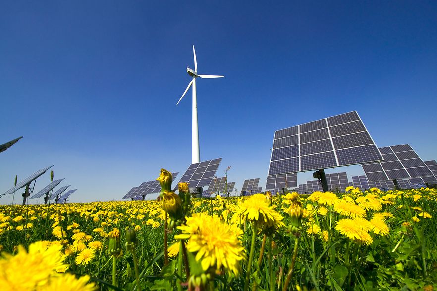 Photovoltaikanlage und Windrad auf einer Wiese mit vielen Butterblumen