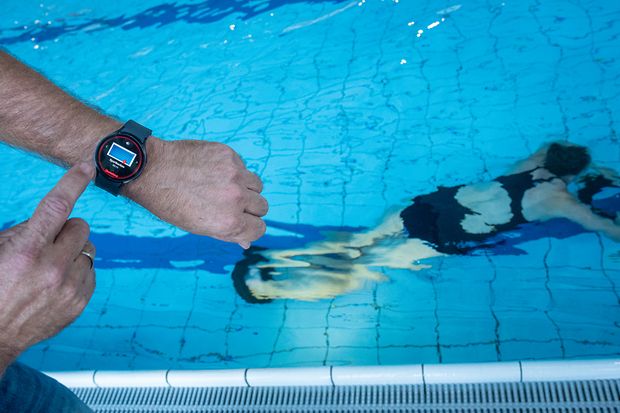 Alarm der Lynxight-KI auf der Smartwatch