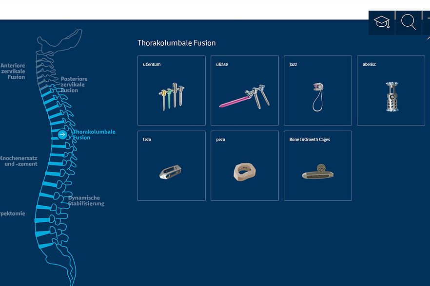 untern_ul_Neue-Website_Wirbelsaeule