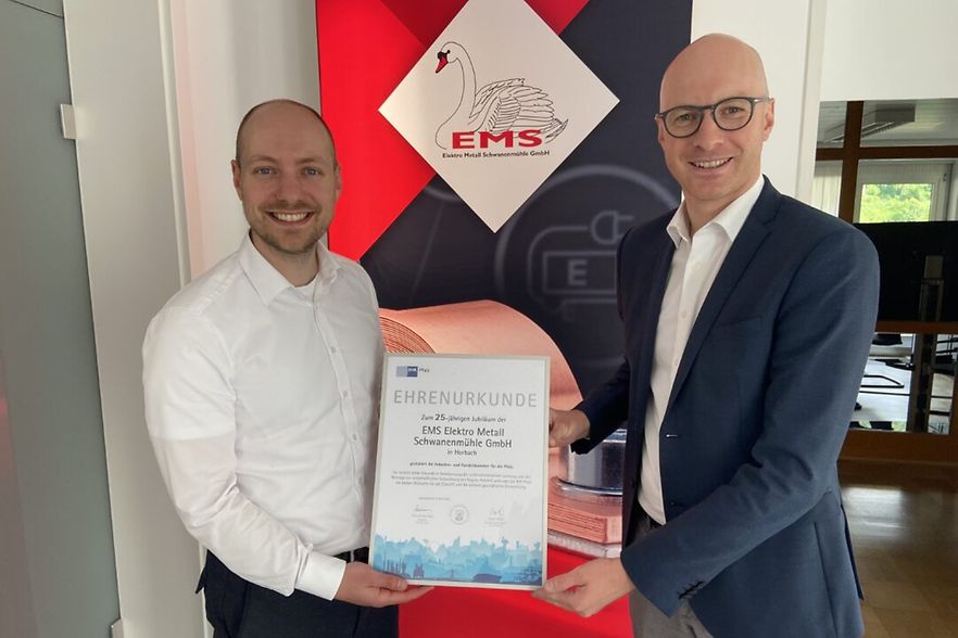 EMS Elektro Metall Schwanenm&uuml;hle GmbH