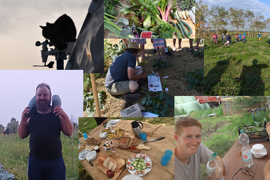 Impressionen vom Bauernhof Martin Zschoche mit Menschen, Obst und Gem&uuml;se und einem gedeckten Tisch