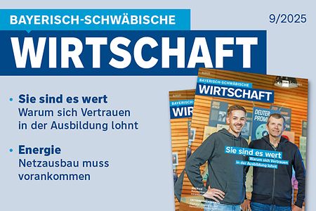 Teaserbild der BSW