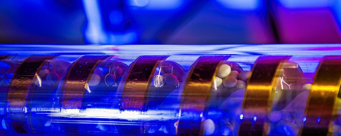 Plasmabehandlung von Lupine