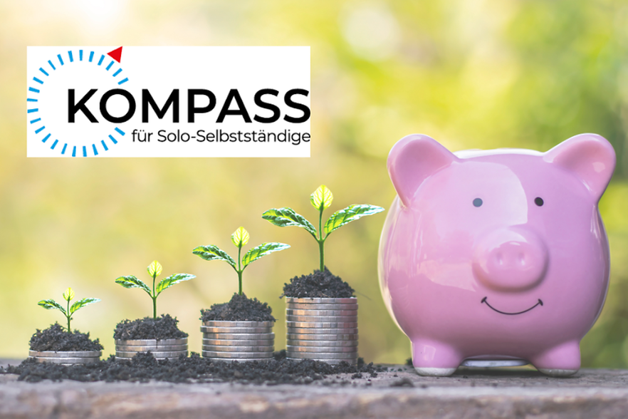 Kompass f&uuml;r Solo-Selbstst&auml;ndige