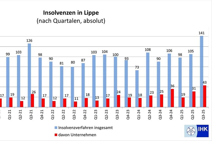 Das Foto zeigt eine Grafik zu den Unternehmensinsolvenzen in Lippe.