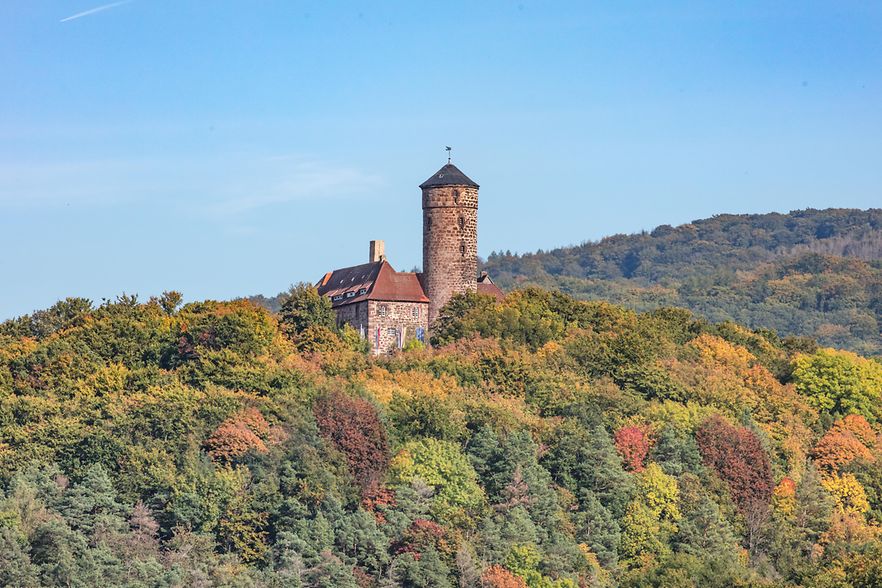 baum;himmel;natur;landschaft;herbst