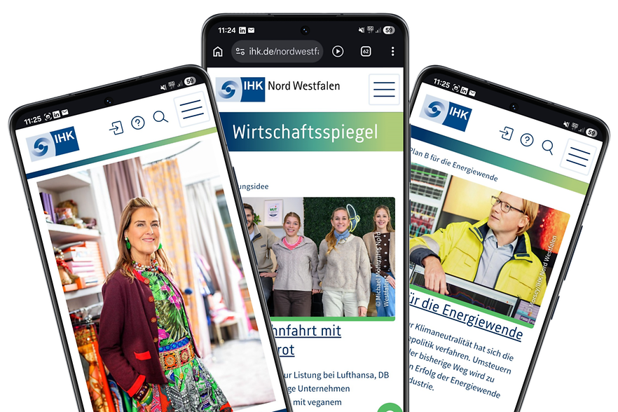 Screenshots aus dem Wirtschaftsspiegel