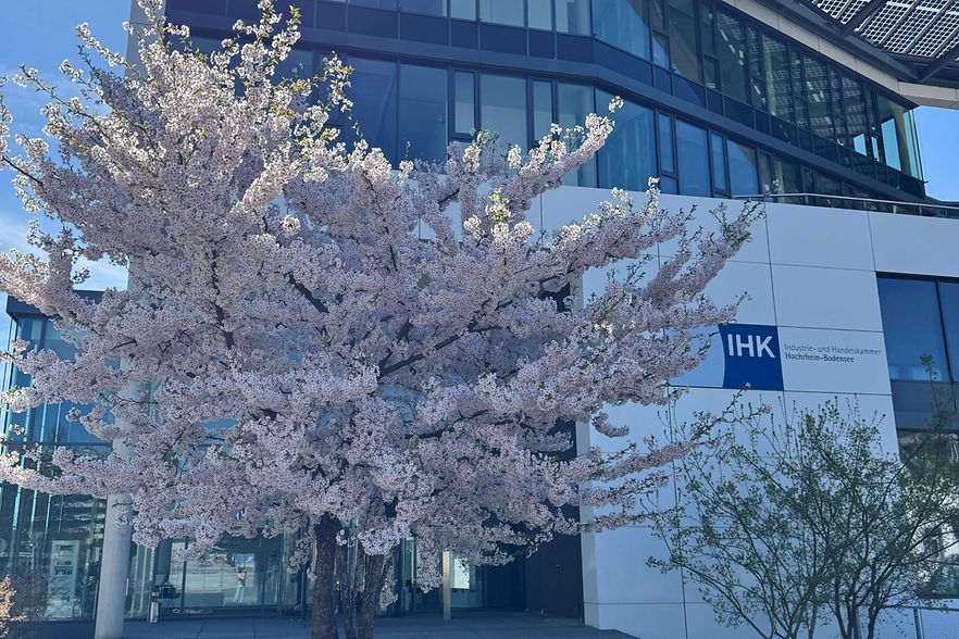 IHK Fr&uuml;hling