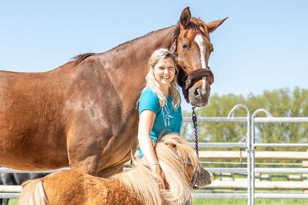 equisoul-coaching