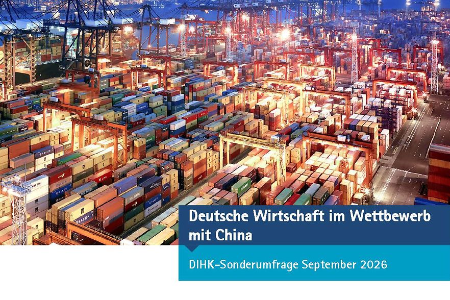Skyline vom Hafen - Cover Umfrage DIHK